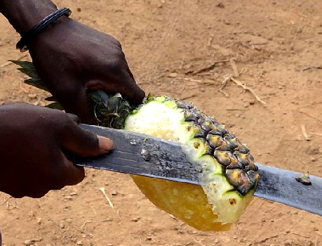 Sliced Pineapple